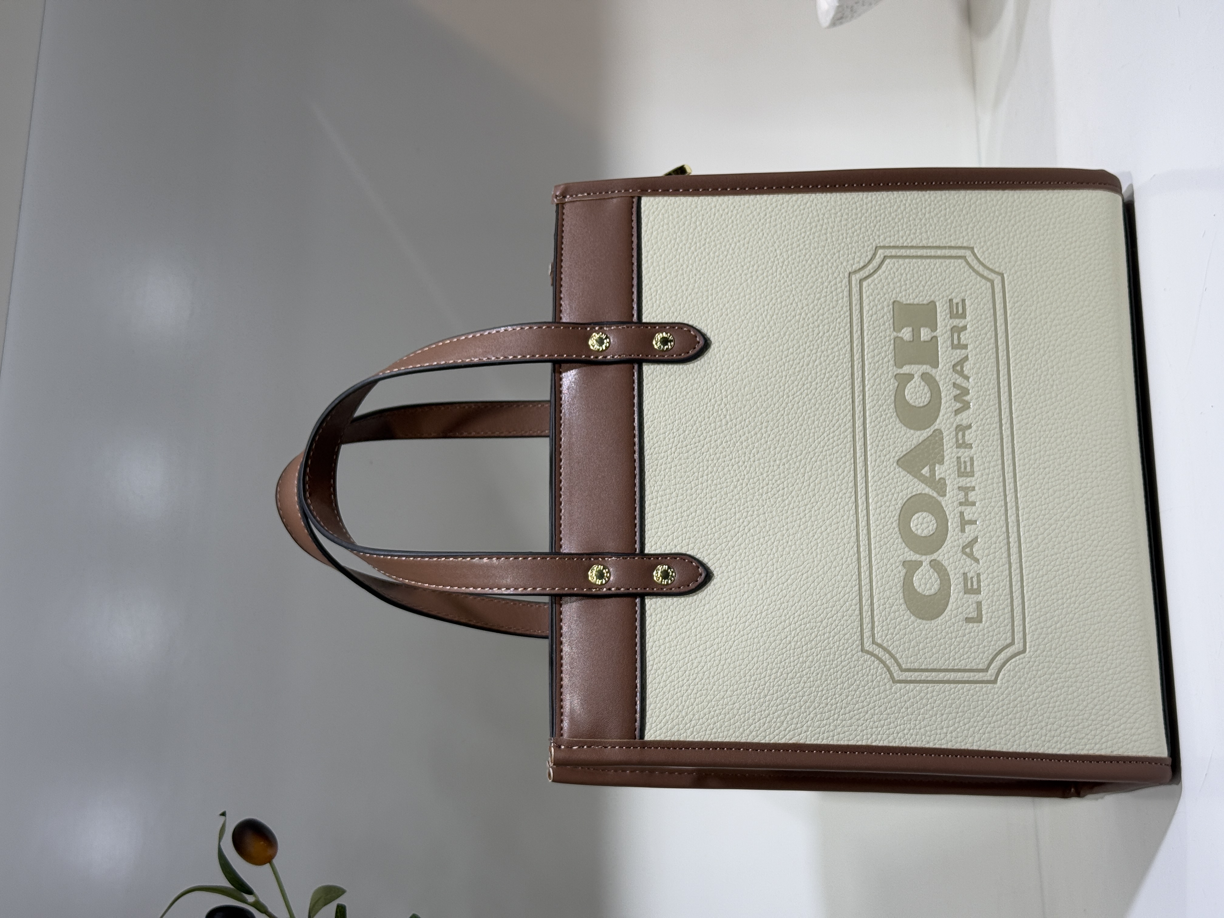 شنطة coach